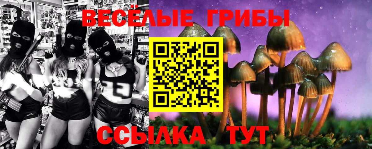 Псилоцибиновые грибы Magic Shrooms Миллерово
