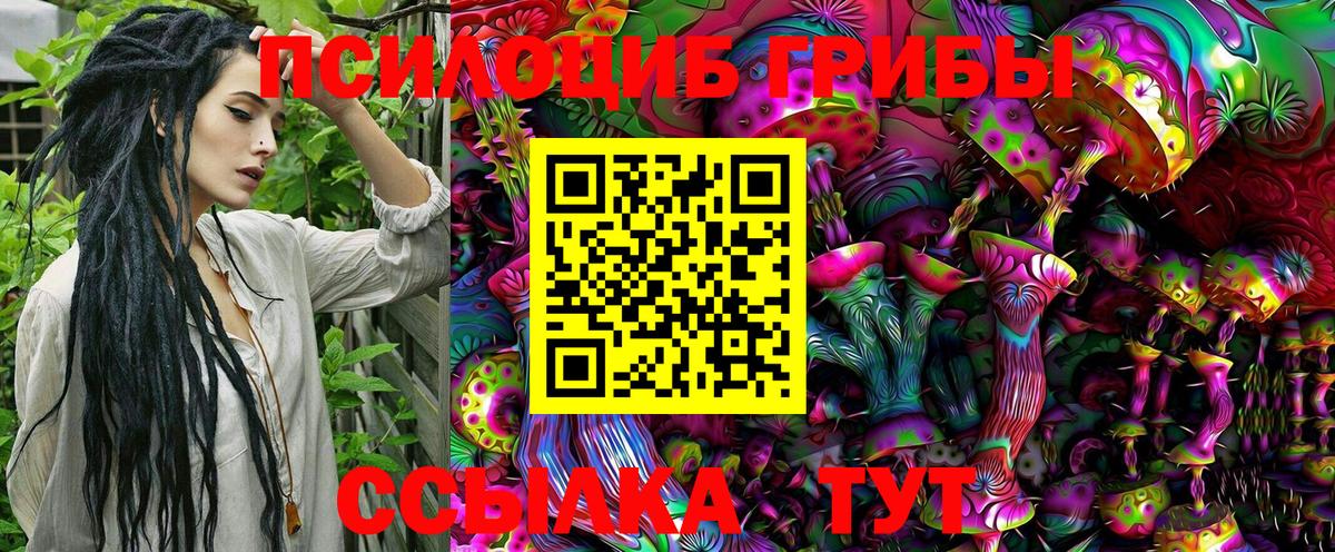 сколько стоит  Вход с VPN  Миллерово  Псилоцибиновые грибы MAGIC MUSHROOMS 